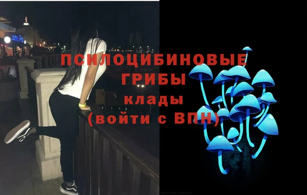 герыч Анива